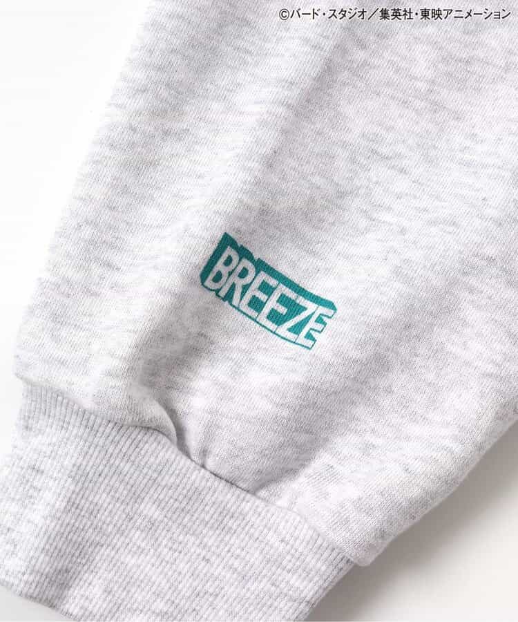 Dragon Ball x BREEZE Fashion Collection - Dragon Ball Collaboration Motif Adult Sweatshirts (2 Types)