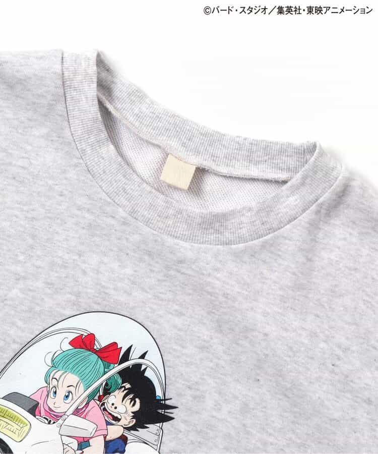 Dragon Ball x BREEZE Fashion Collection - Dragon Ball Collaboration Motif Adult Sweatshirts (2 Types)
