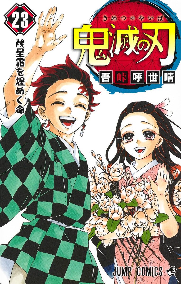 Demon Slayer Volume 23 – Japanese manga cover