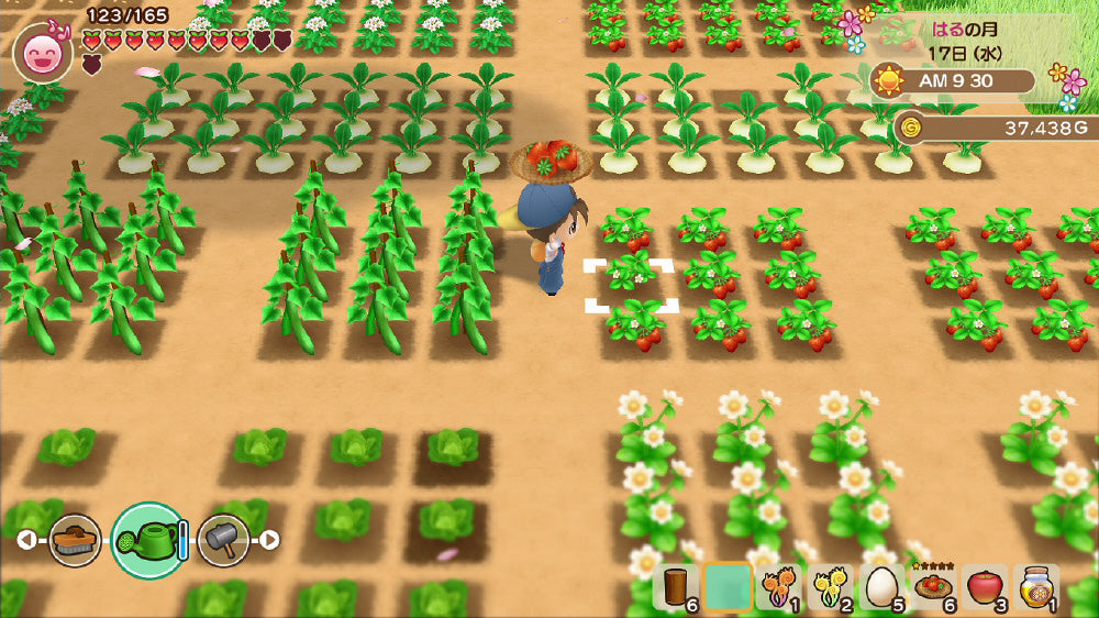 Story of Seasons: Friends of Mineral Town - Nintendo Switch official image 2