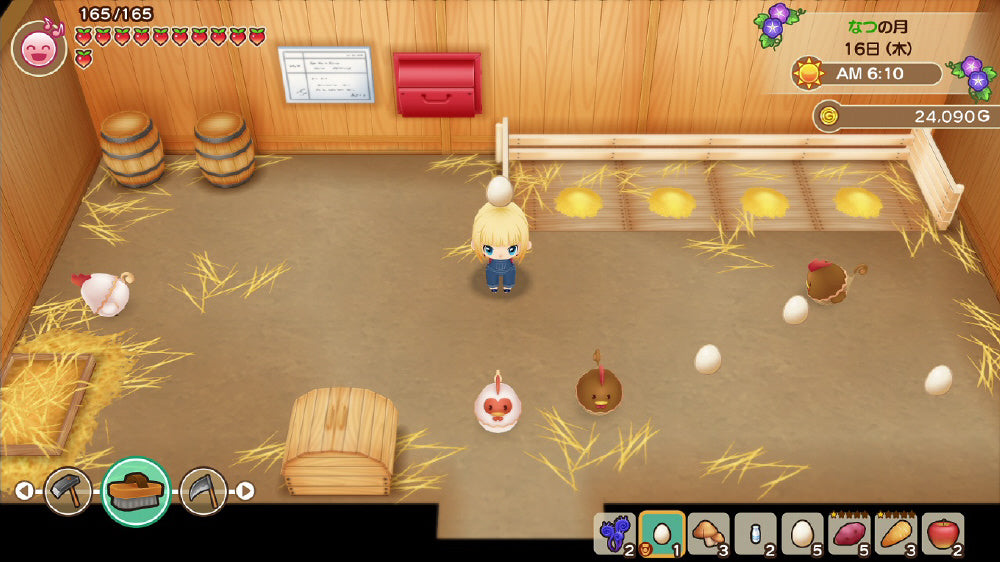 Story of Seasons: Friends of Mineral Town - Nintendo Switch official image 3