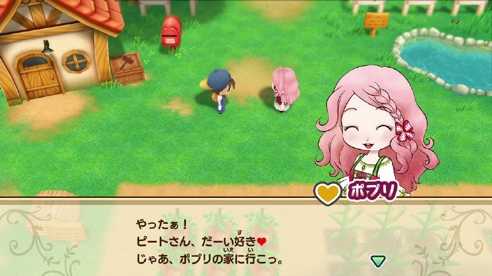 Story of Seasons: Friends of Mineral Town - Nintendo Switch official image 4