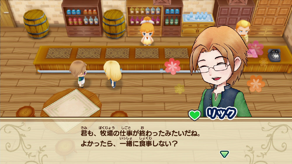 Story of Seasons: Friends of Mineral Town - Nintendo Switch official image 5