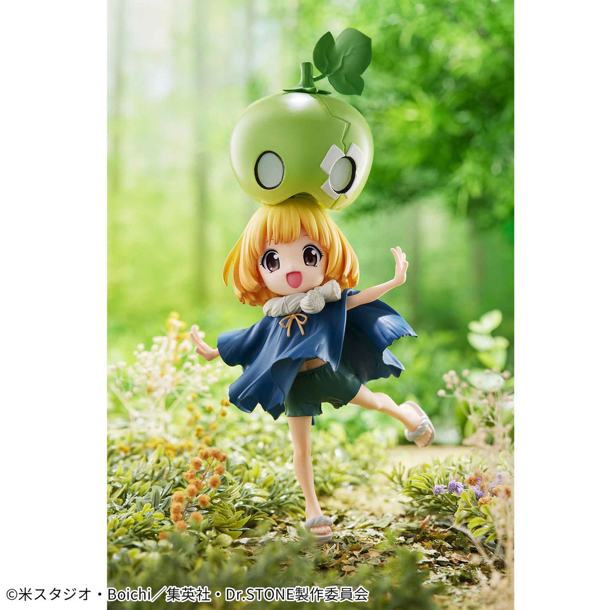 DR. STONE - Suika