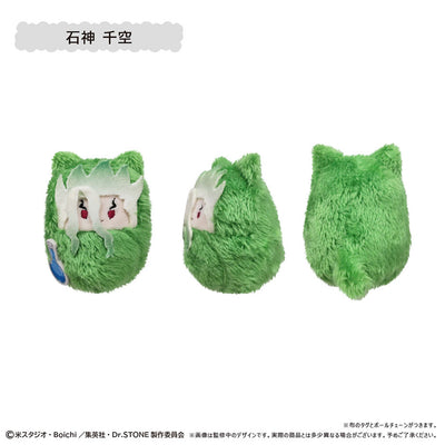 Dr. Stone Kurumi Tapinui - Complete Set of 6 Types