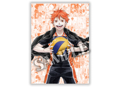 Included Haikyu!! Hinata poster