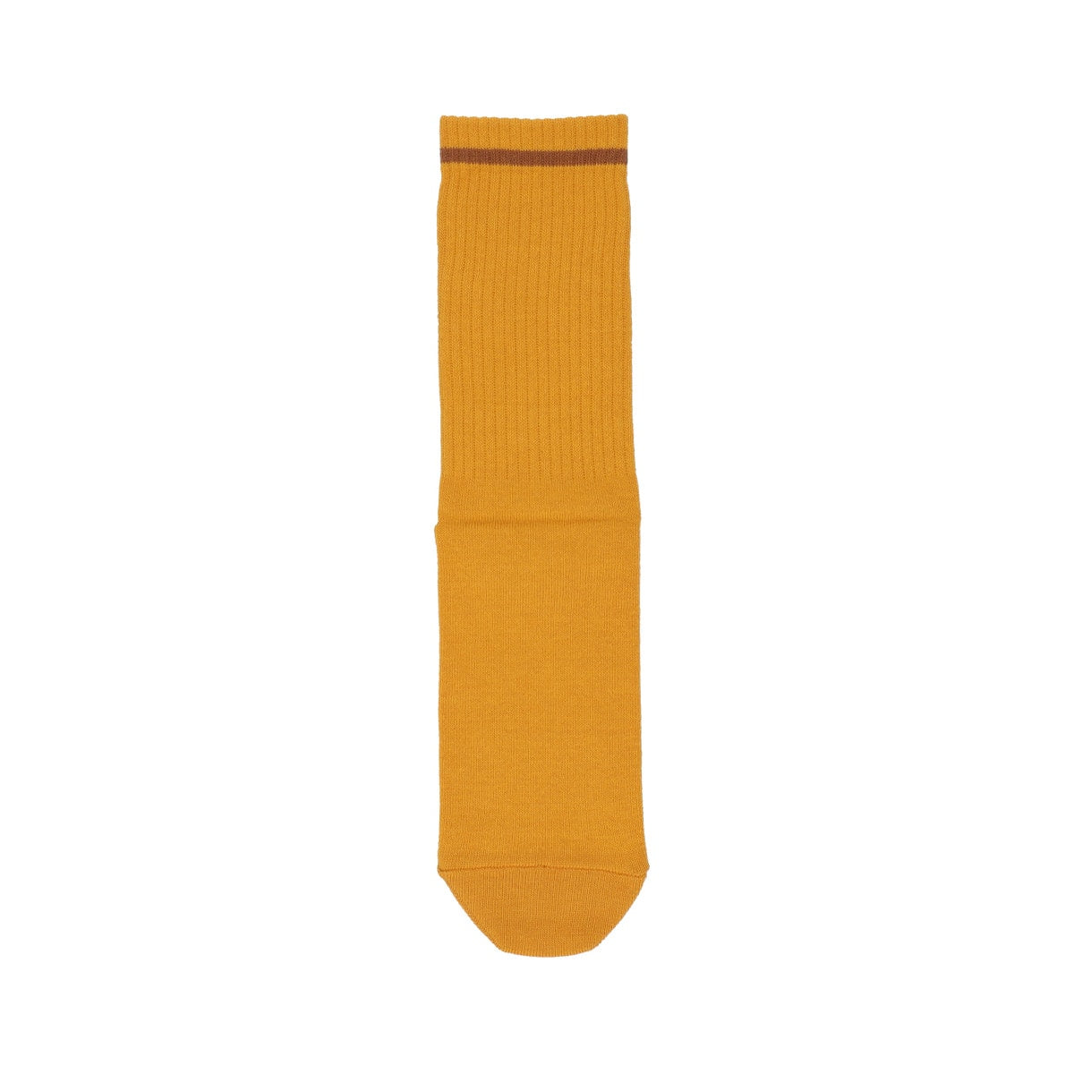 Studio Ghibli Striped Ribbed Crew Socks 23-25 cm (3 Types) - Catbus - official view 3